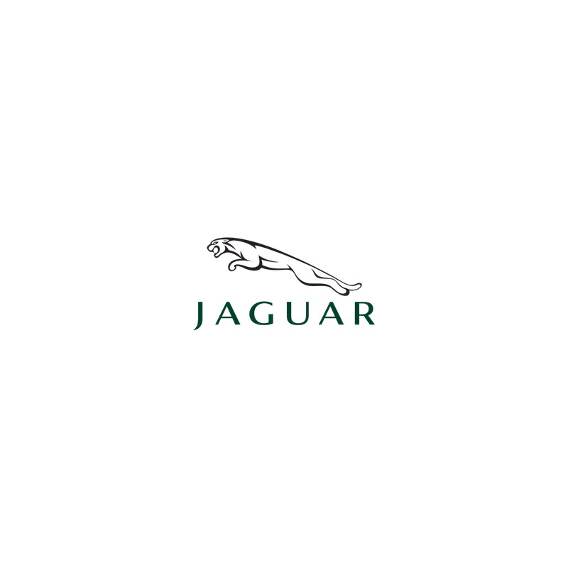 Jaguar Remote Key