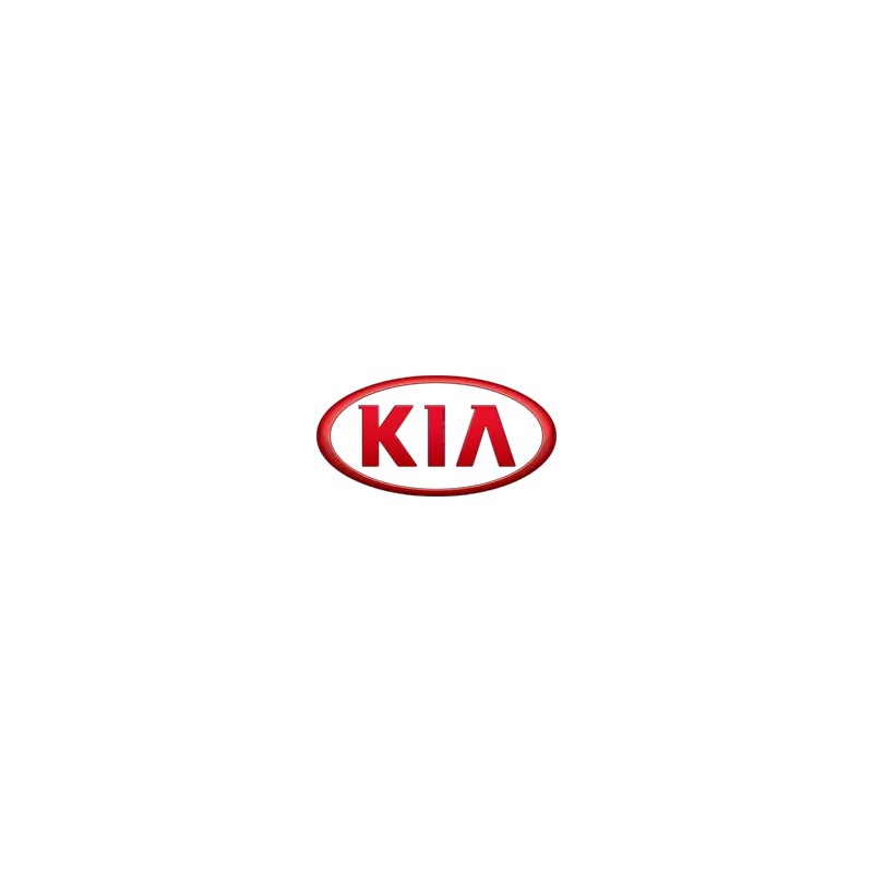 Kia Remote Key